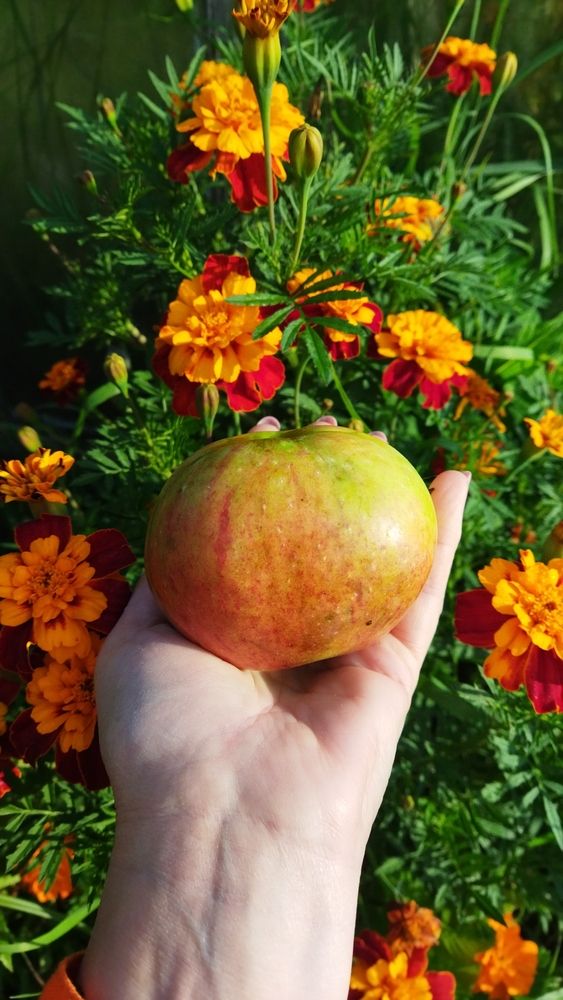 Photograph by Юлия Морозова