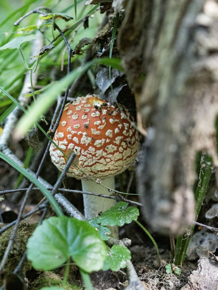 Photograph by Кадиров Азат