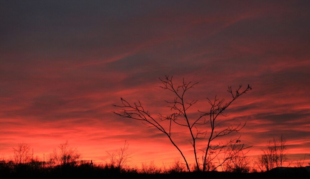 Фотография автора Светлана Терехова