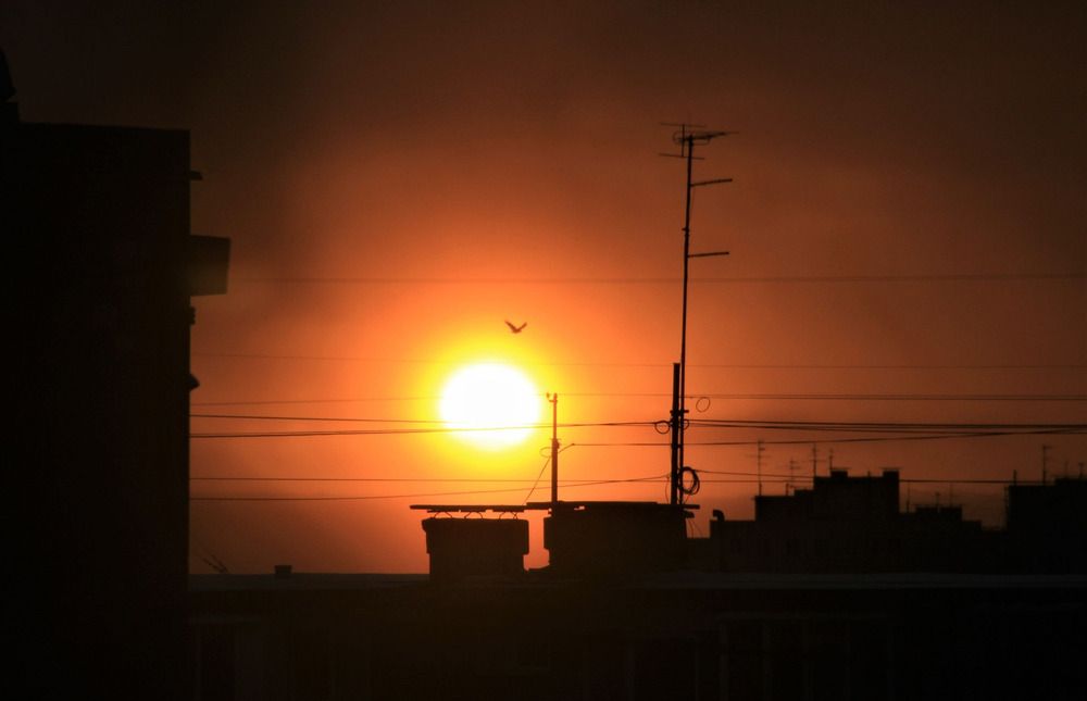 Фотография автора Светлана Терехова