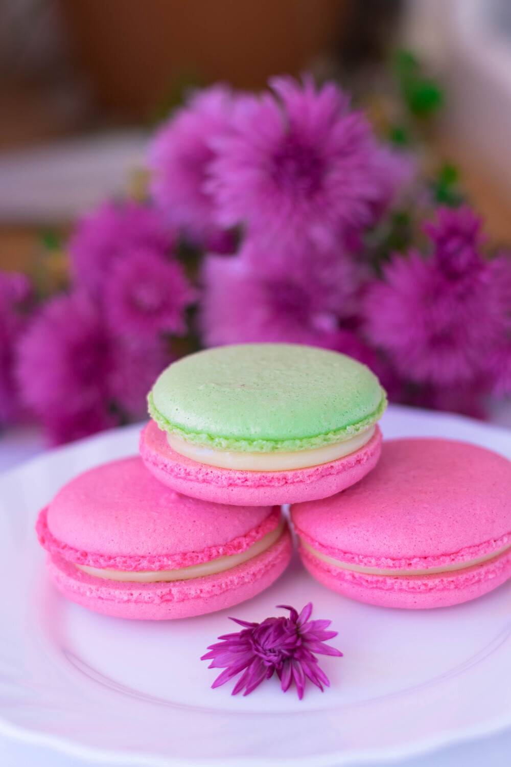 Photo #13450372
