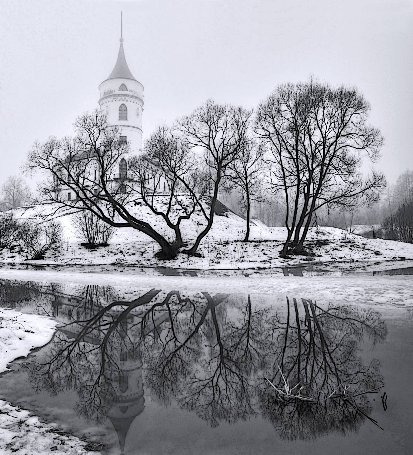 Photo #13450402