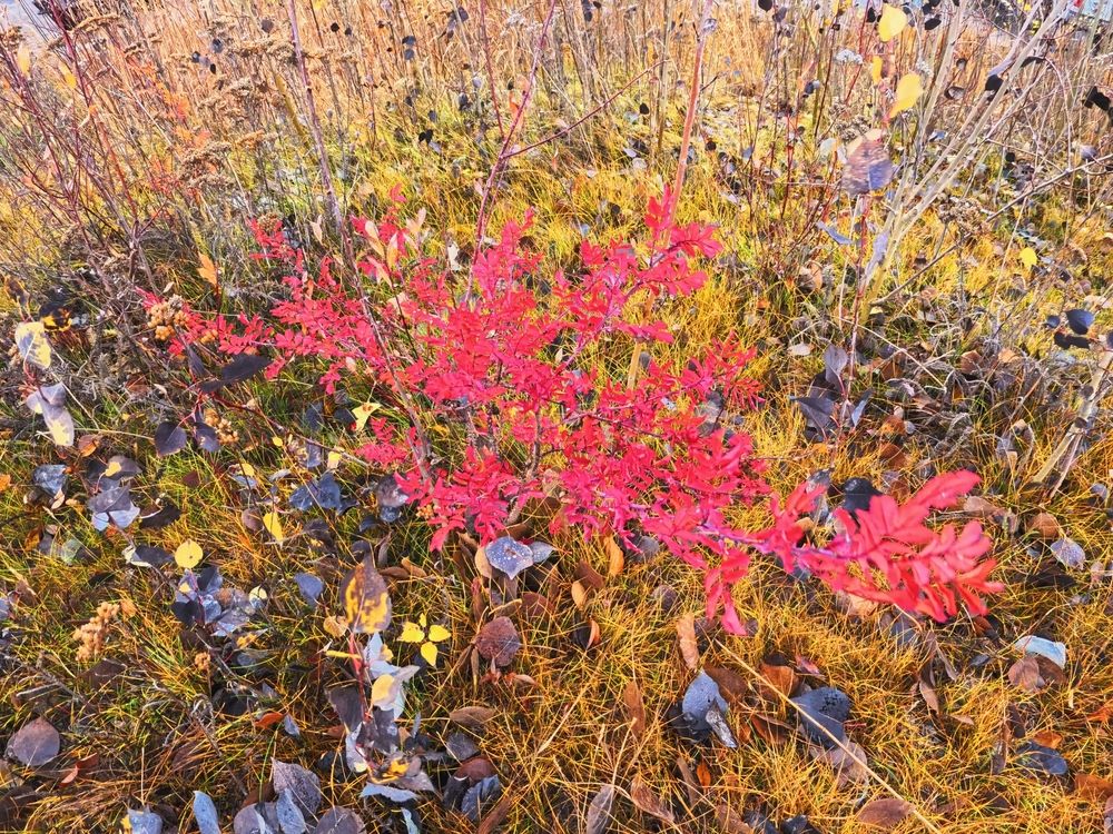 Photograph by JONATHAN VALDEZ