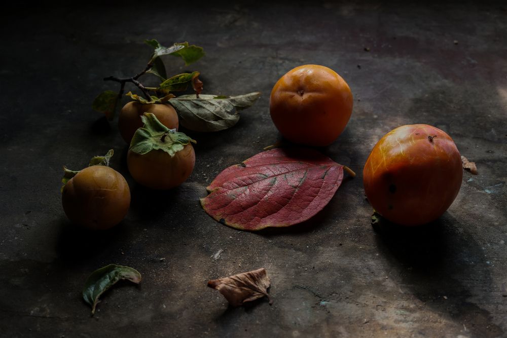 Photograph by Mayya Khrolovich