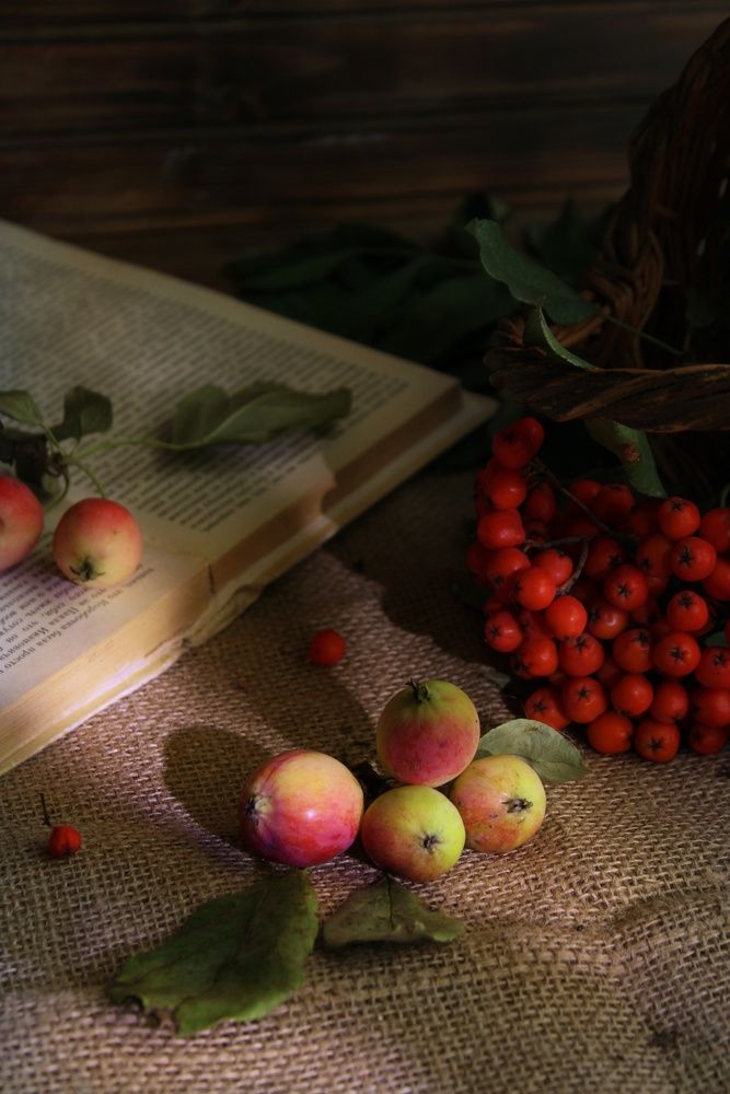 Photograph by Яна Сальникова