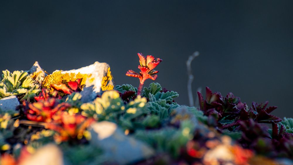 Фотография автора Сергей Третьяков