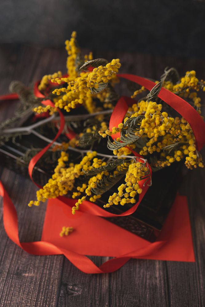 Фотография автора Альбина Кадочникова