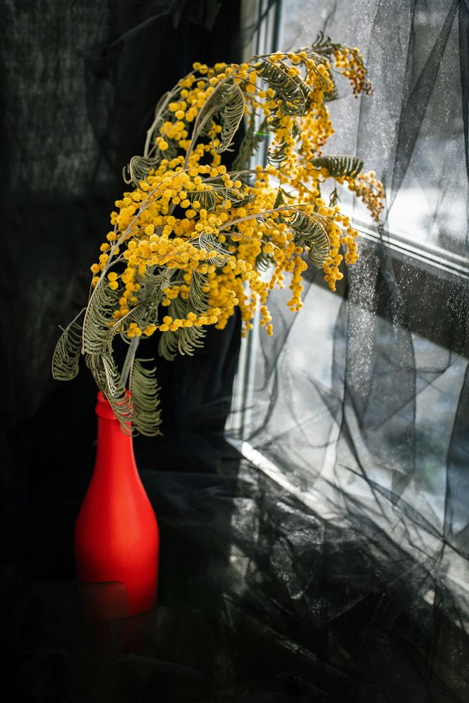 Фотография автора Альбина Кадочникова