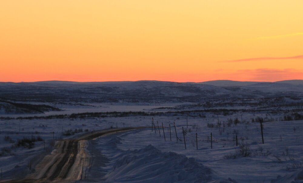 Фотография автора Светлана Терехова