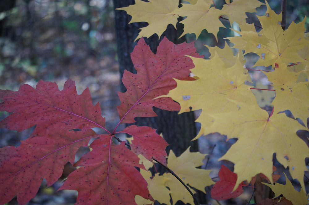 Photograph by Ken Oliver