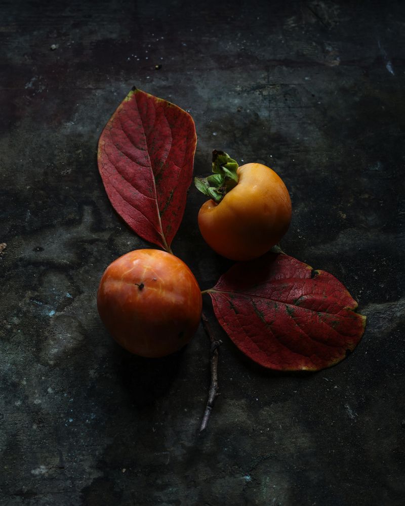 Photograph by Mayya Khrolovich