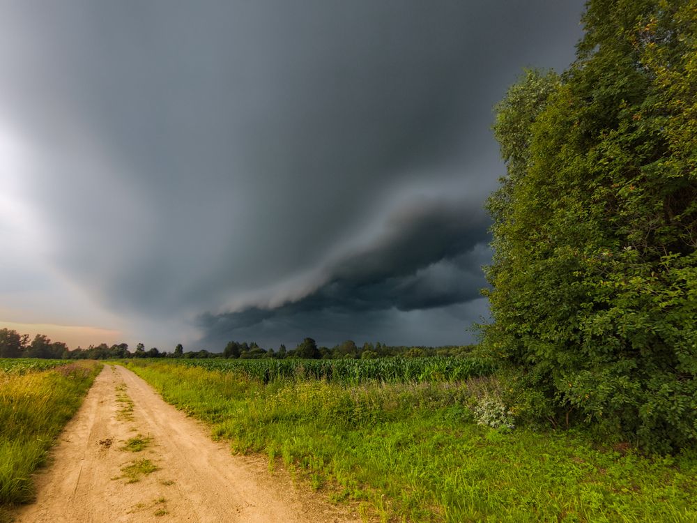 Photograph by Alexandr Gorelenkov