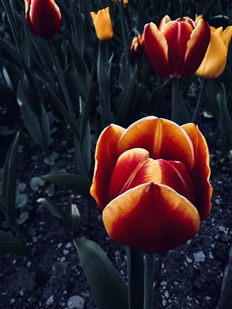 Photograph by наталья ионова