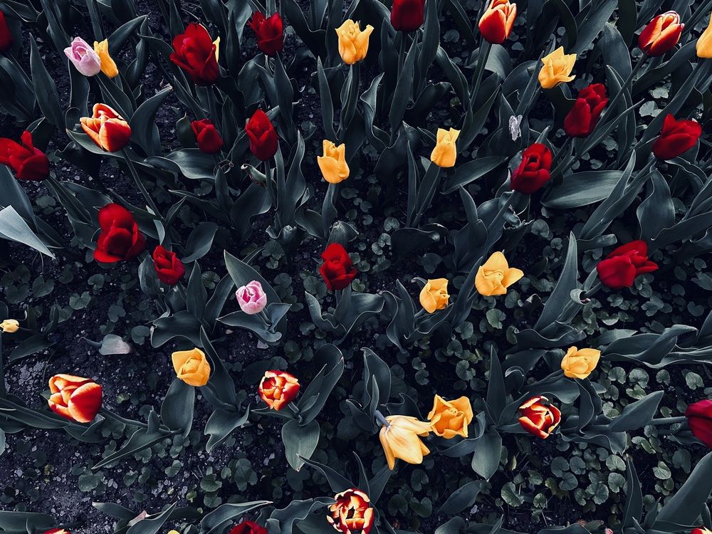 Photograph by наталья ионова