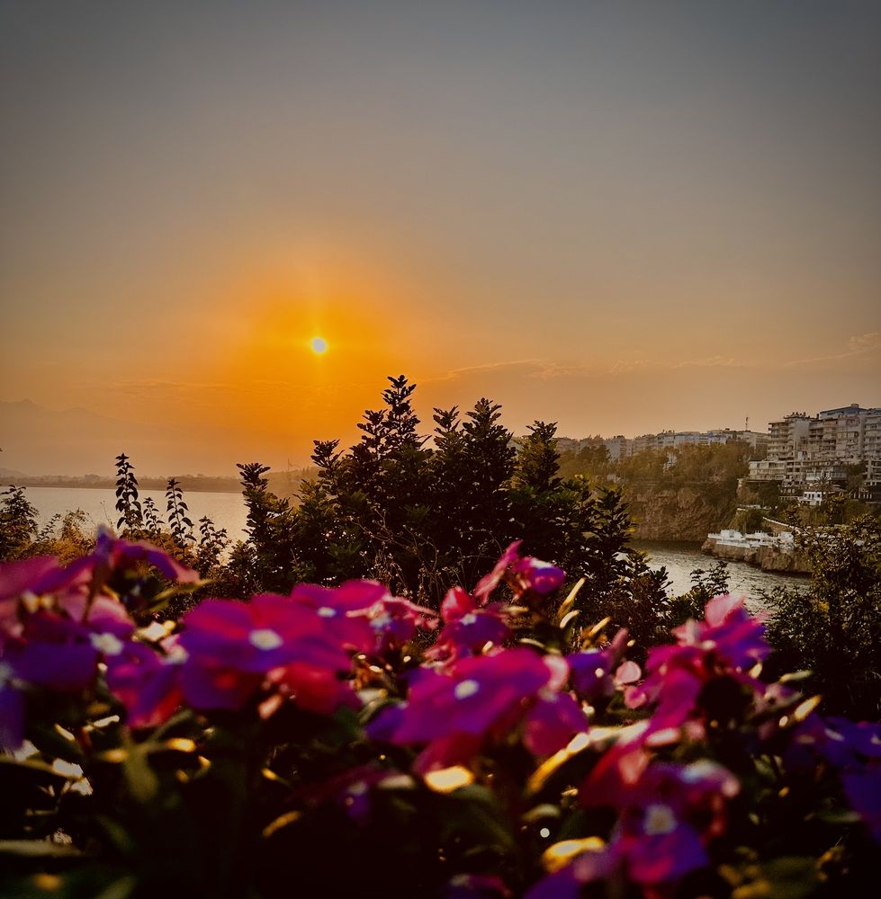 Photograph by наталья ионова