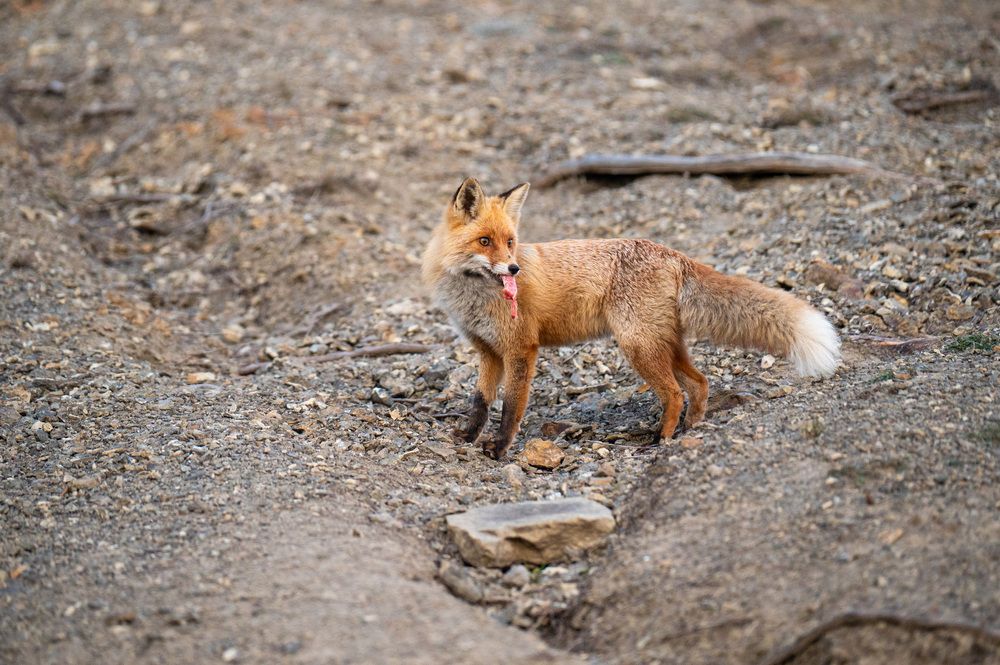 Photograph by Иван Губский