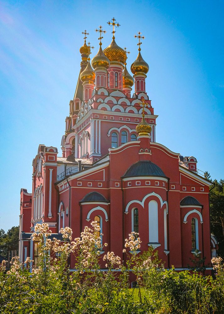 Фотография автора Анастасия Подгрушная