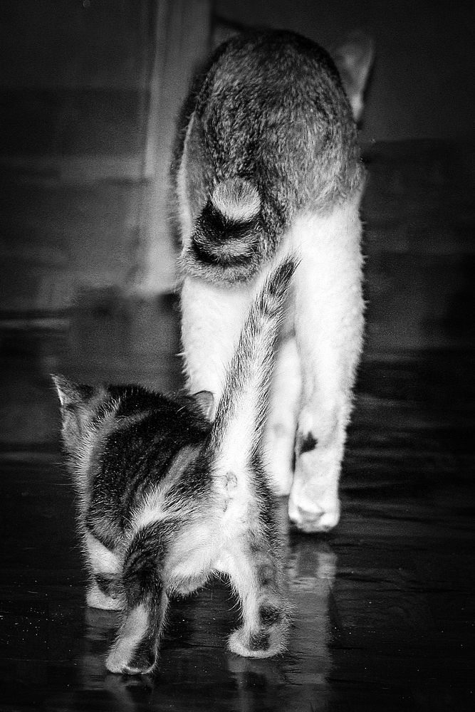 Photograph by Дарья Улюсова