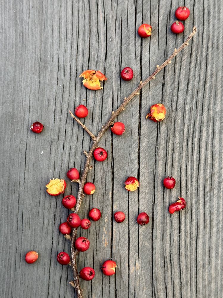 Photograph by Мария Якубовская