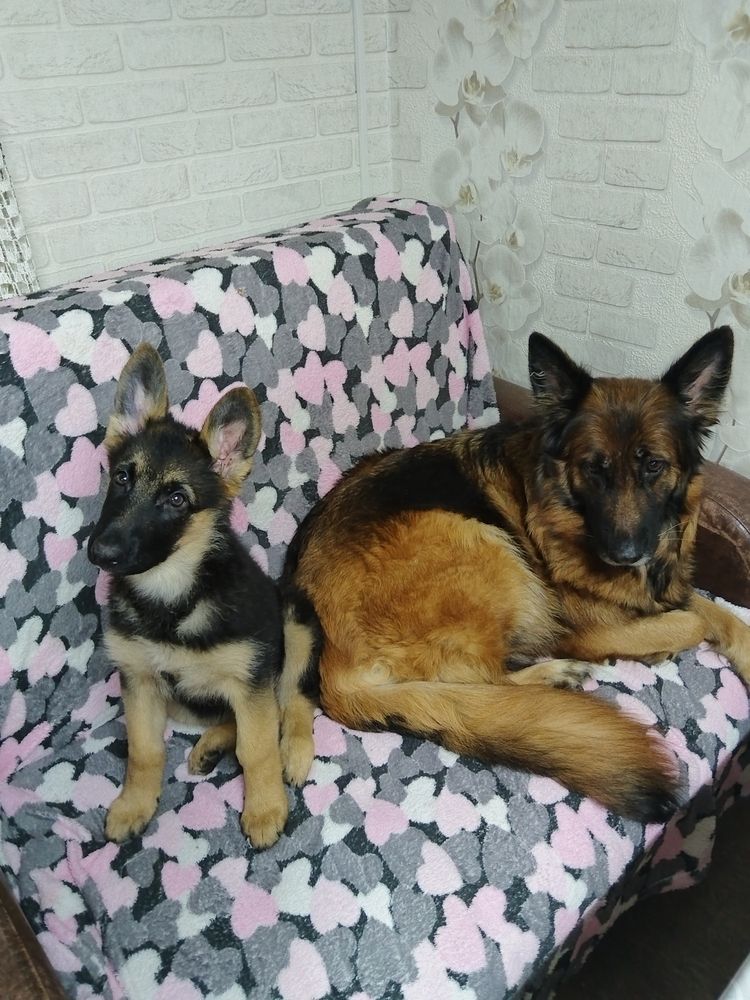 Photo #13451172