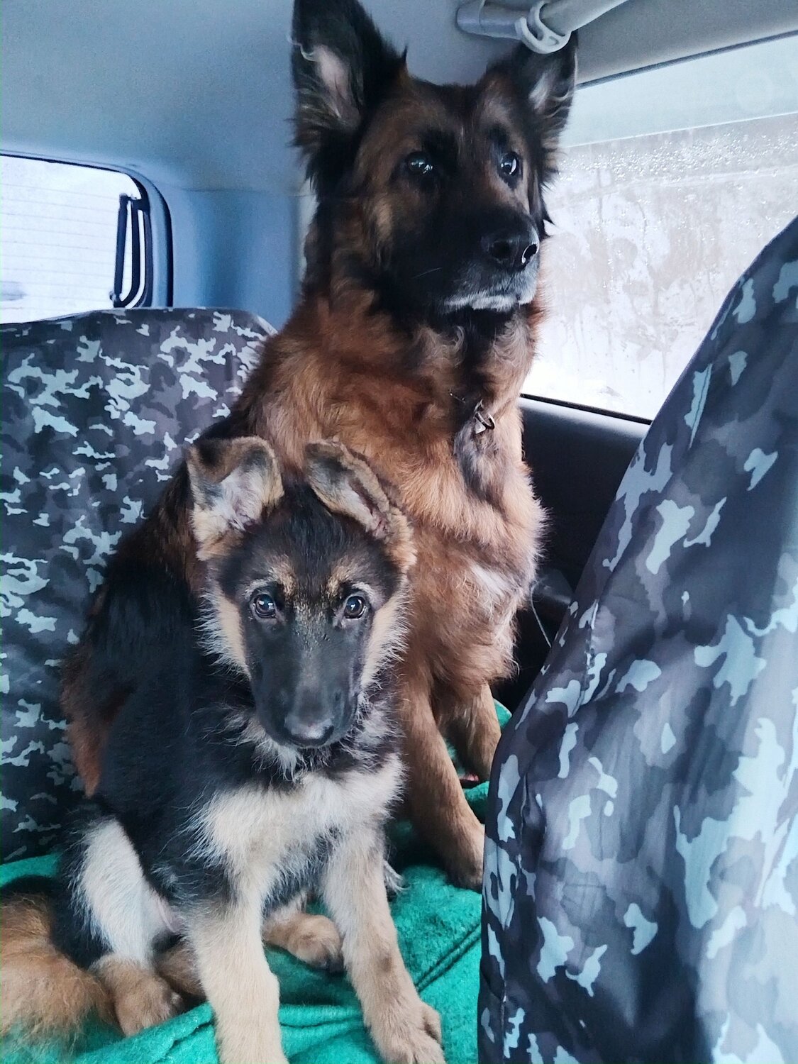 Photo #13451175