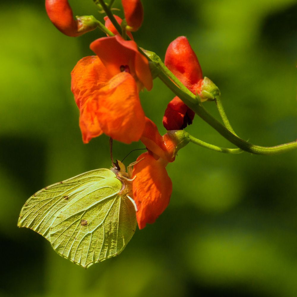 Photograph by Борис Журавлёв