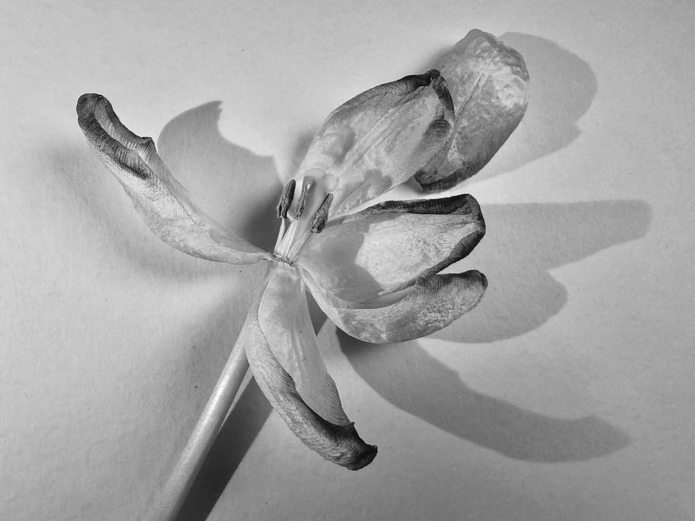 Photograph by Ольга Барулина