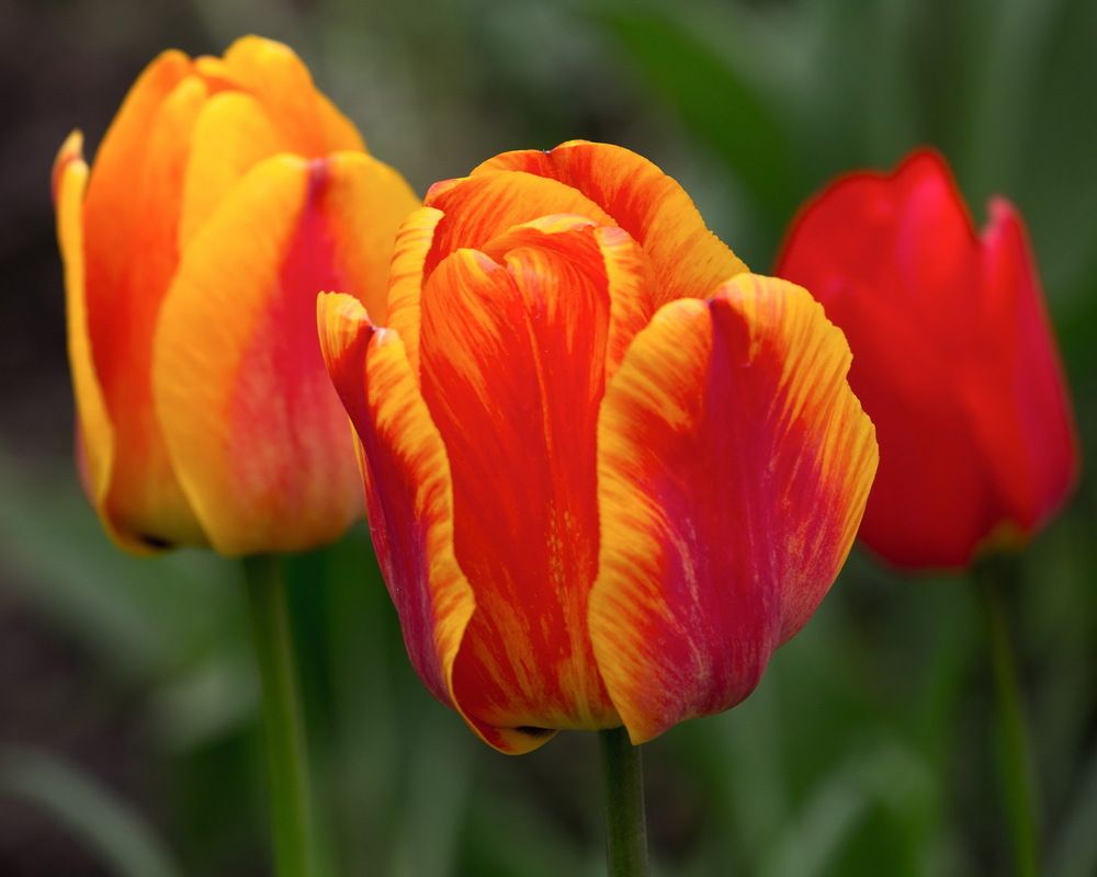 Photograph by Борис Журавлёв