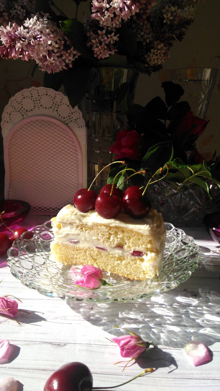 Photo #13451314