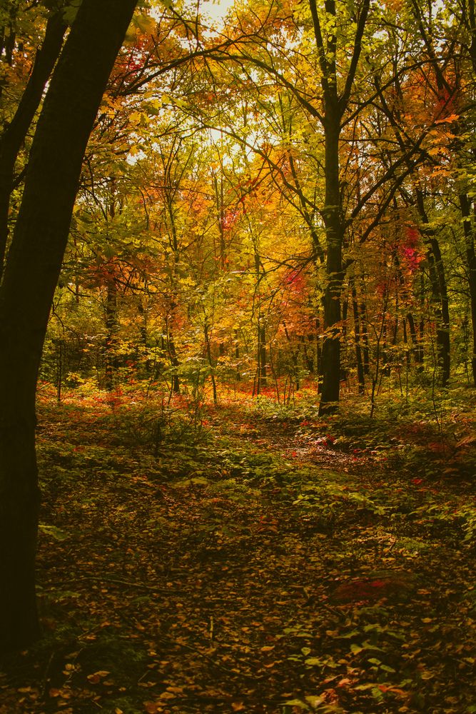 Photograph by Эмма Астапова