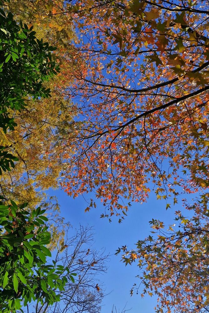 Photograph by Екатерина