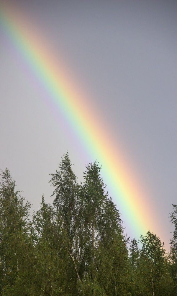Photograph by Екатерина