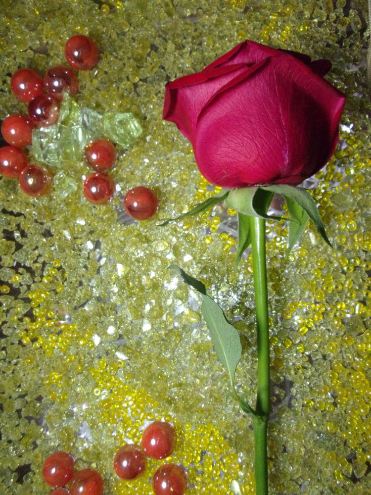 Rosa en contraste  transparencia vidrios rojo/ amarillo.vidrio
