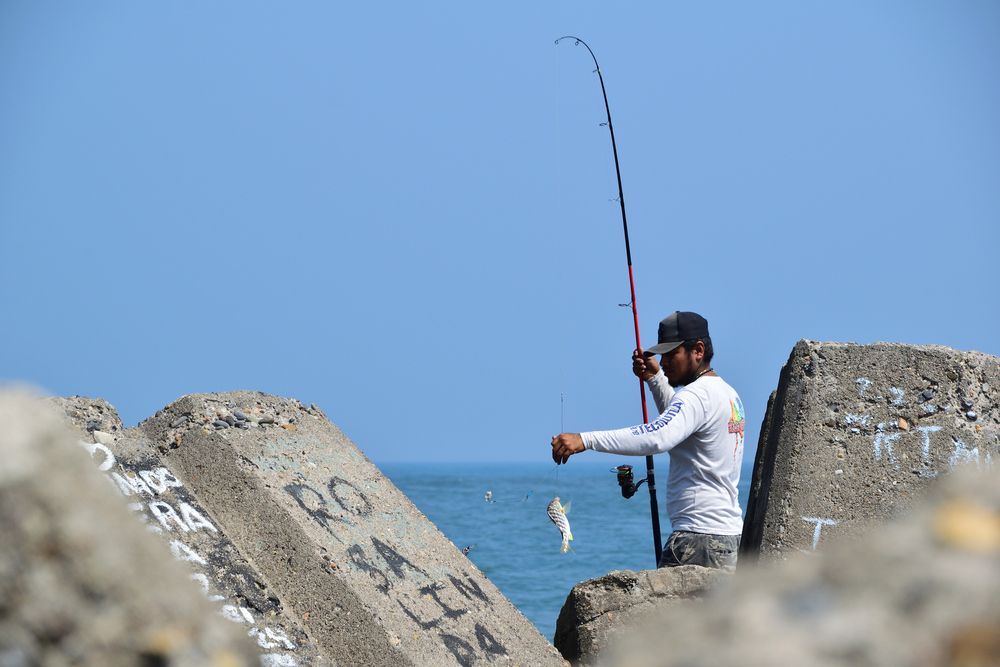 Photo #13451509