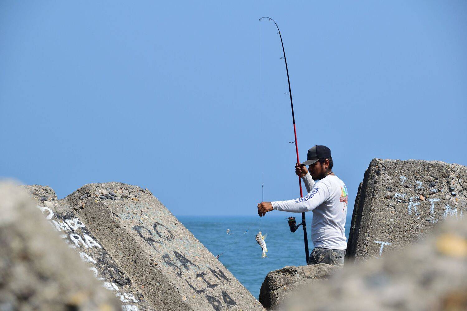 Photo #13451509