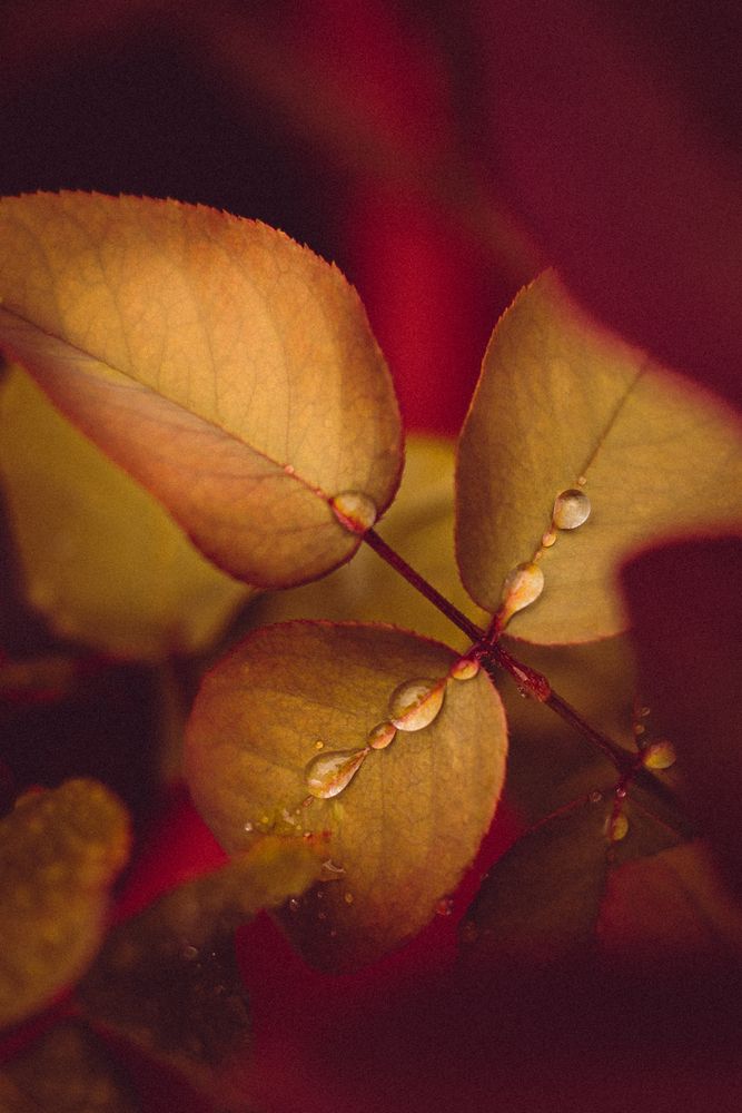 Фотография автора Alexandra Sergeeva