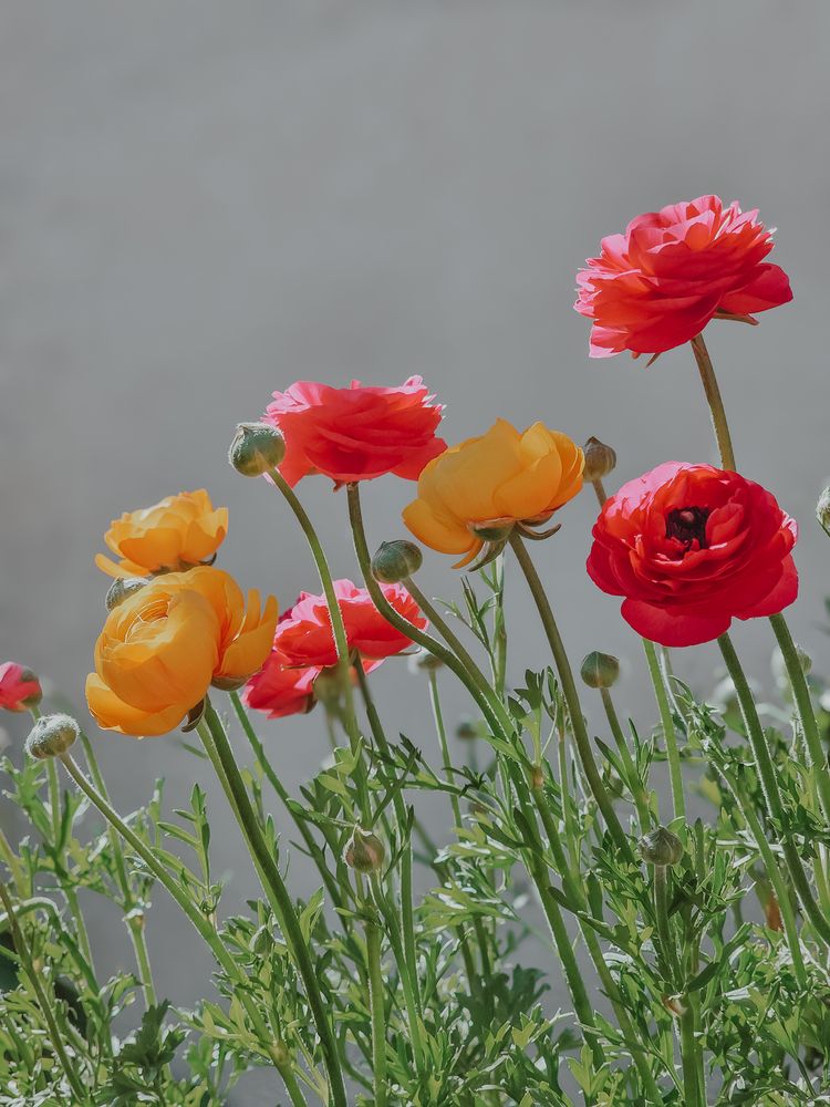 Фотография автора Alexandra Sergeeva