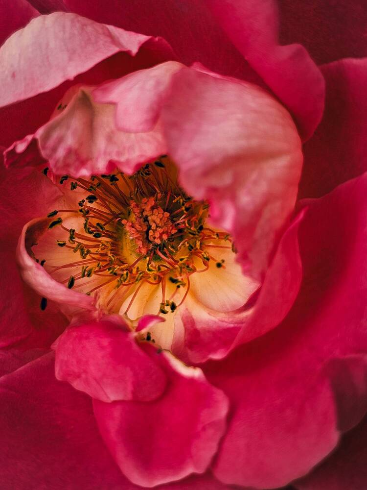 Фотография автора Alexandra Sergeeva