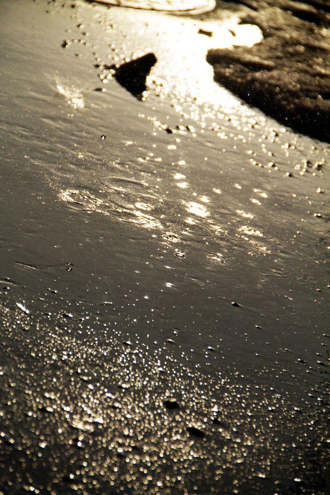 Photograph by Mark Litvak