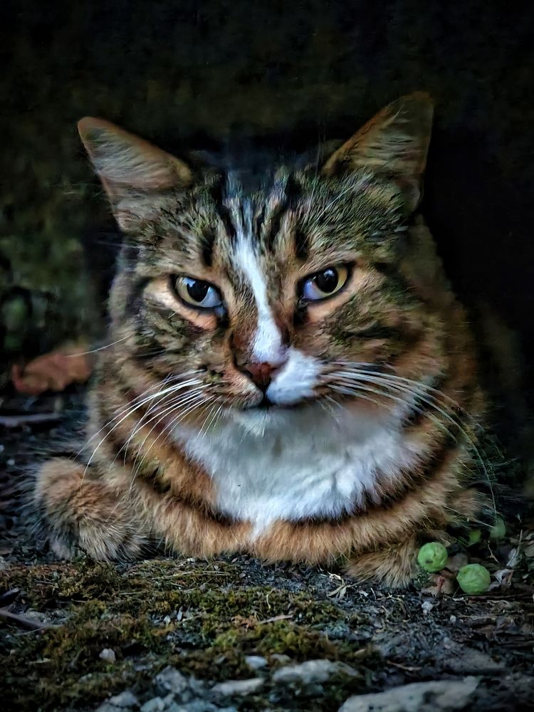 Photograph by Сергей Носов