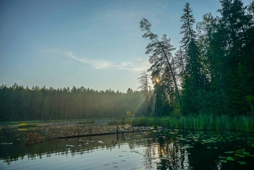 Последний луч солнца