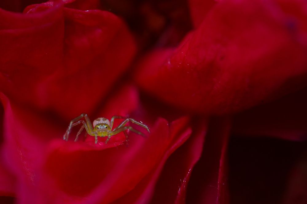 Photograph by Kasun Wickramasinghe
