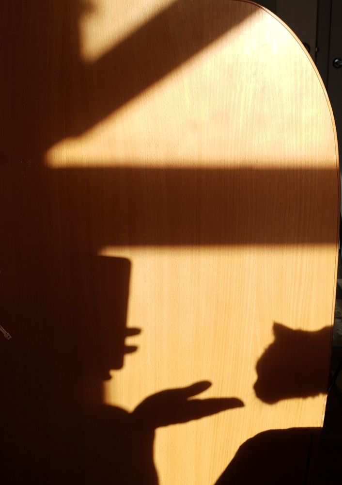Photograph by Анастасия Лаврова