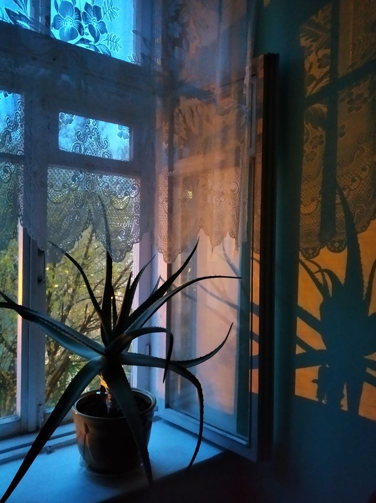 Photograph by Елена Эйнова