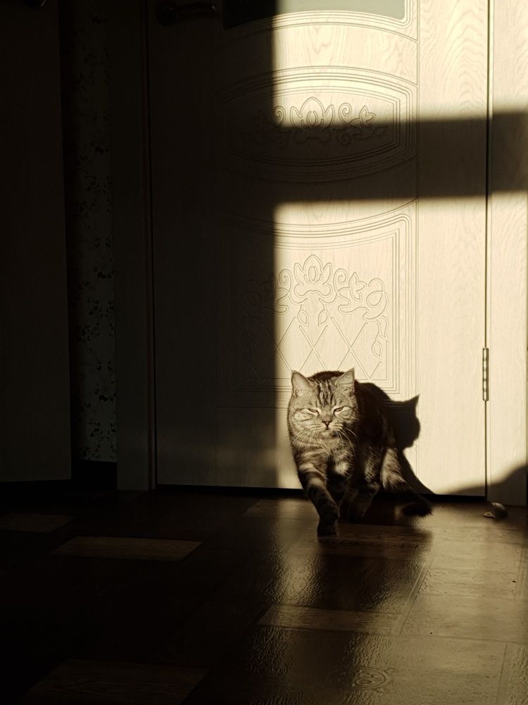 Photograph by Анастасия Лаврова