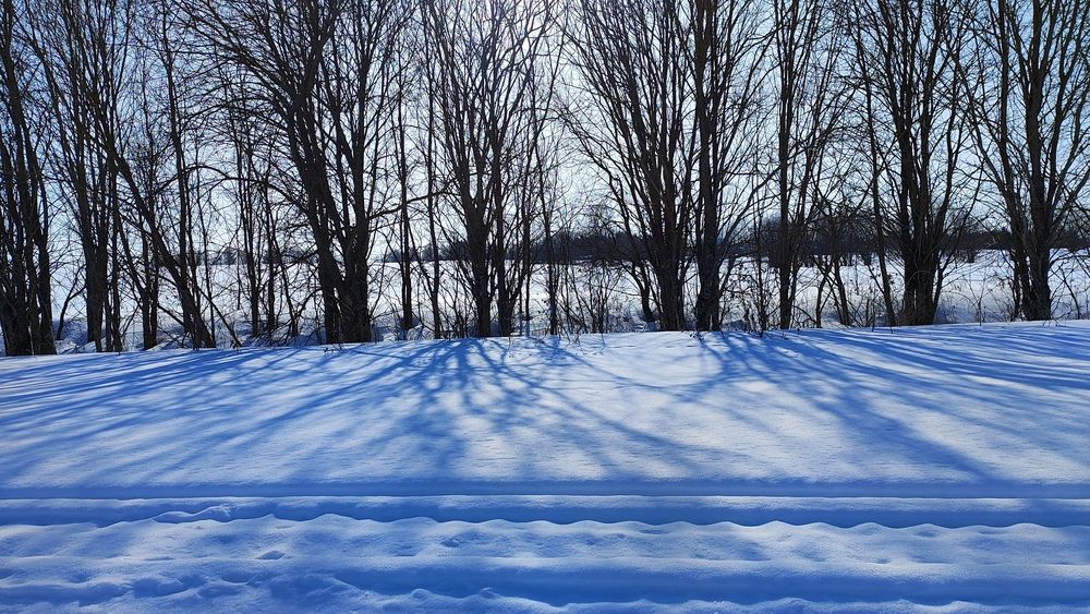 Фотография автора Александр Климов
