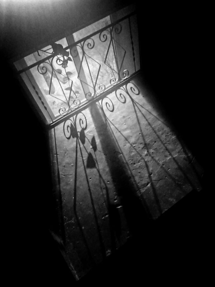 Photograph by Дарья Улюсова