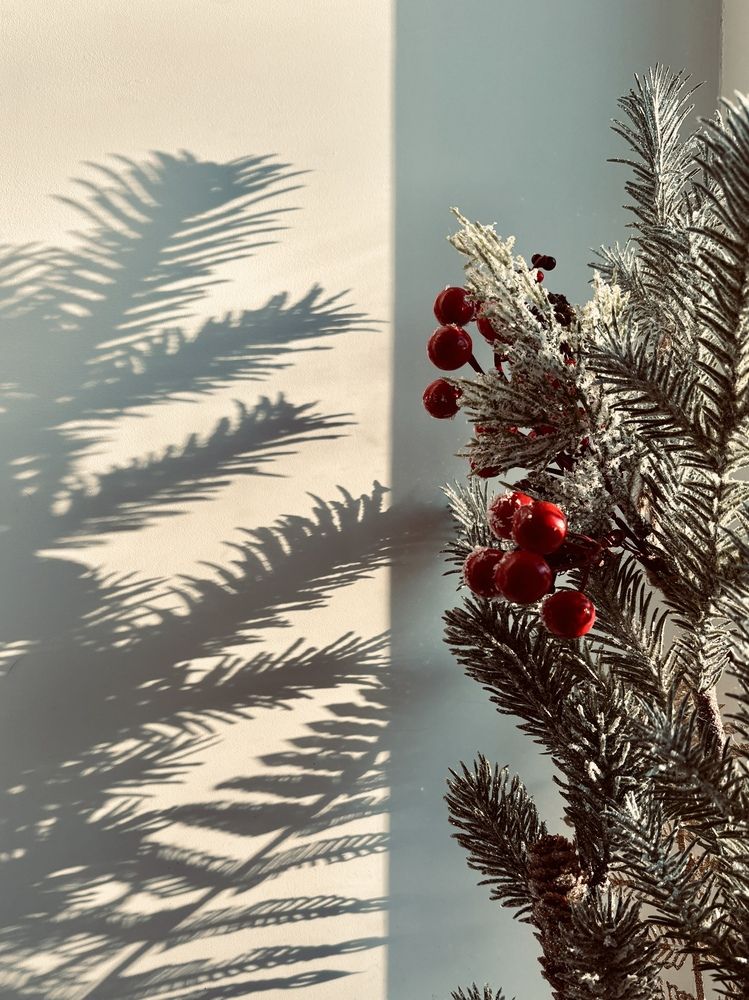 Photograph by Наталья Караблина