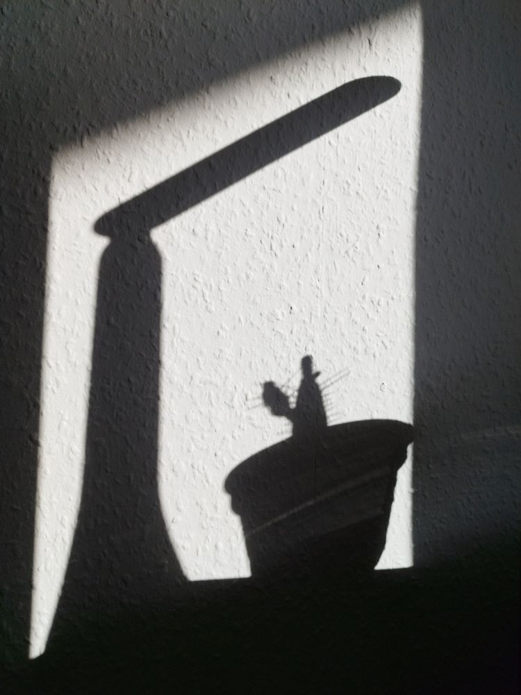 Photograph by Sergej Roor