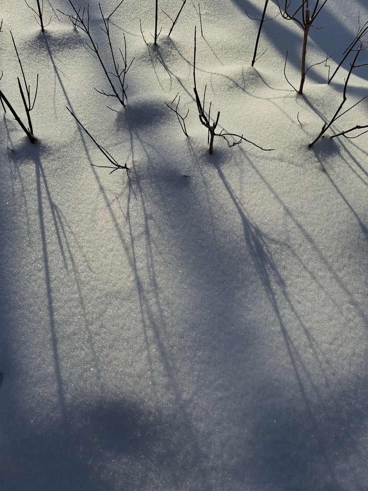 Photograph by Светлана Яковлева
